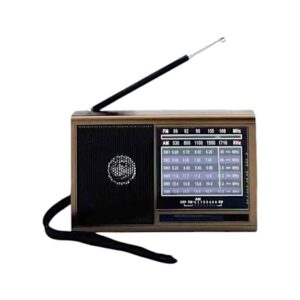 Επαναφορτιζόμενο ραδιόφωνο - PX-721 - 457217 - Gold